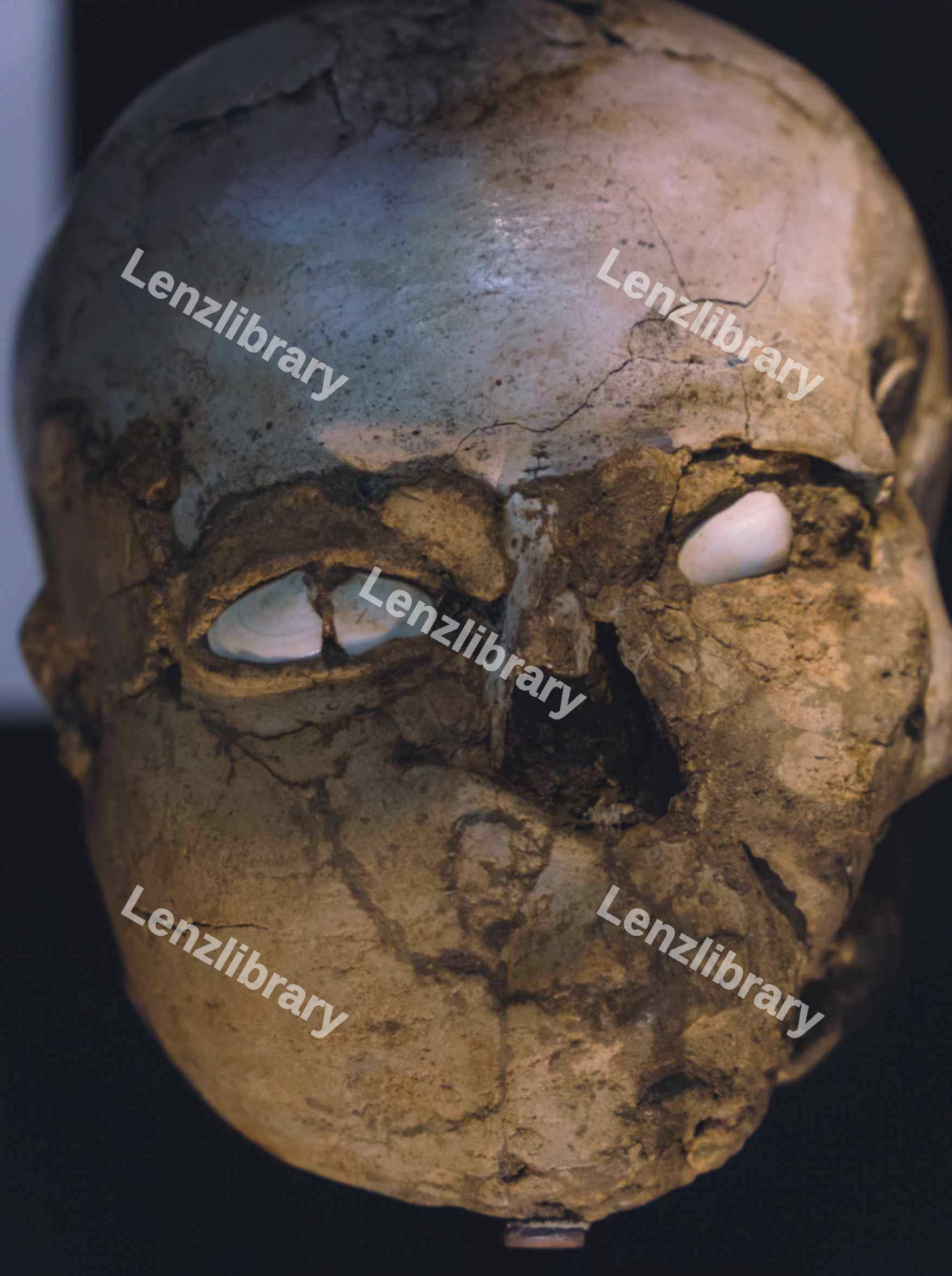 Deformed Skull